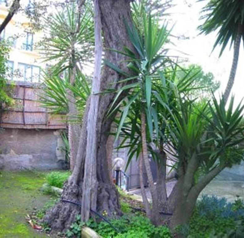 Villa Orchidea Sorrento Pokoj fotografie